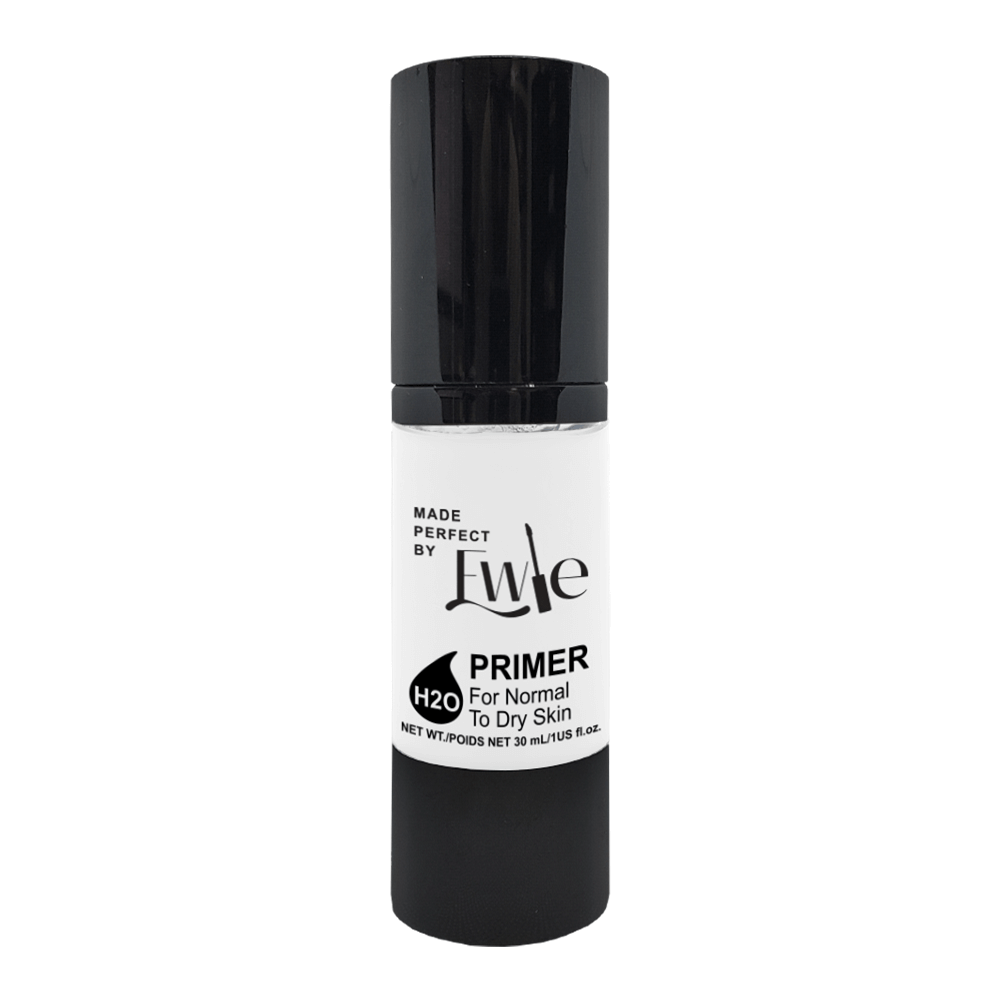 H2O Primer